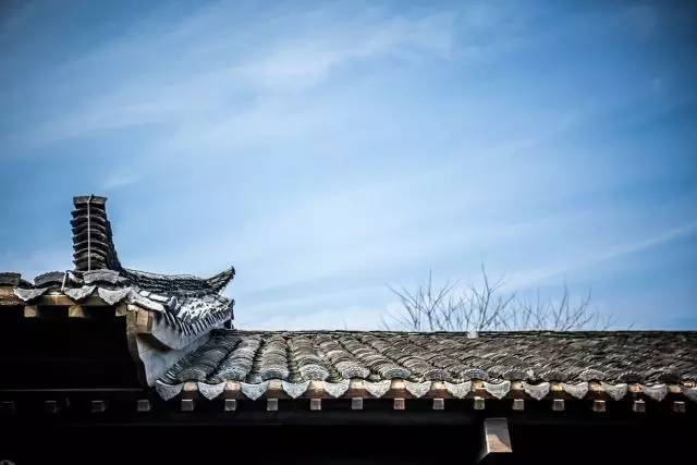 1481534775536772.jpg 回歸自然3.jpg